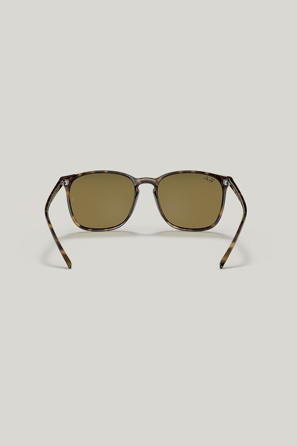 RB4387 - Tortoise - image 4