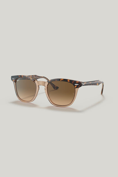 HAWKEYE Polarised - Tortoise - image 1