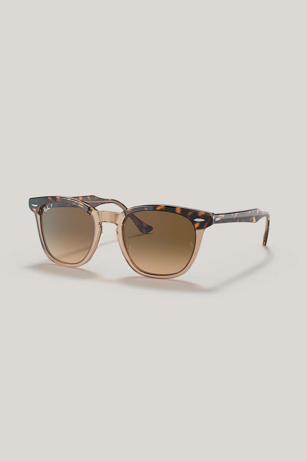 HAWKEYE Polarised - Tortoise - image 1
