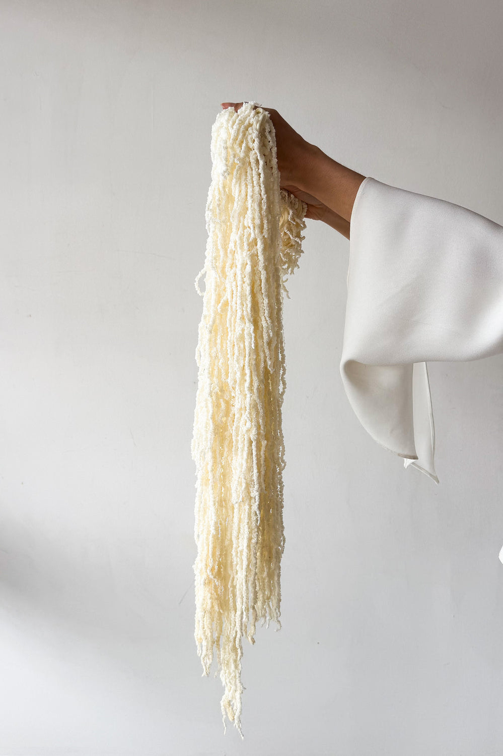 Preserved Amaranthus - Ivory - image 1