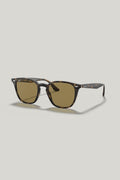 RB4258 - Tortoise - image 1