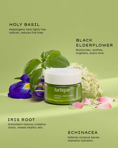 Herbal Recovery Cream - Clear - image 2