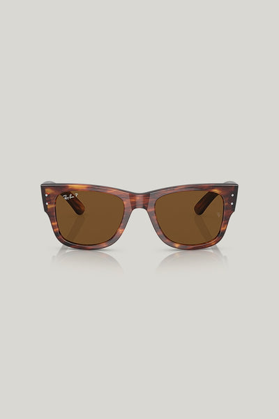 MEGA WAYFARER Polarised - Brown - image 2