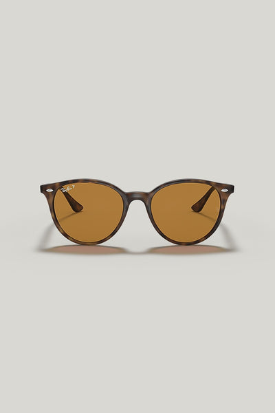 RB4305 Polarised - Tortoise - image 2