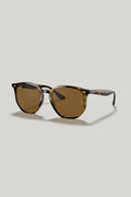 RB4306 Polarised - Tortoise - image 1