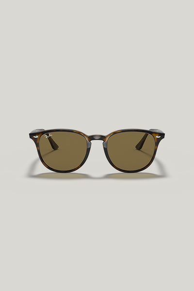 RB4259 - Tortoise - image 2