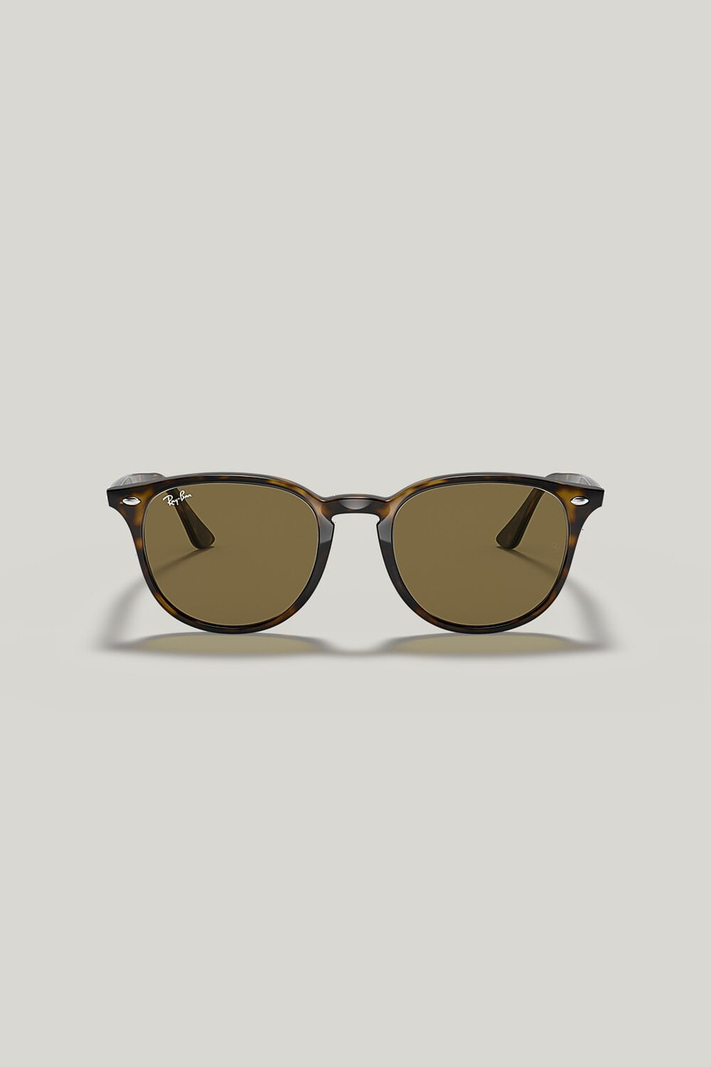 RB4259 - Tortoise - image 2