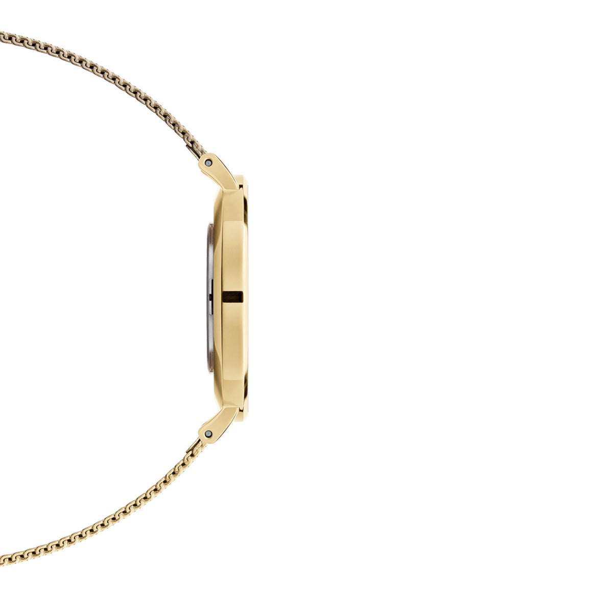 Petite 28 Evergold Gold White Watch - Gold - image 4