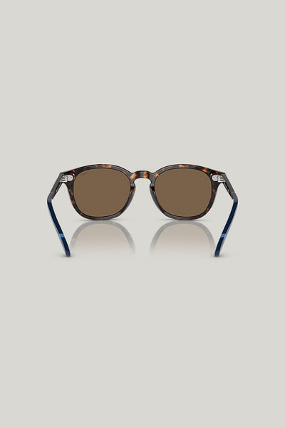 PH4206 - Tortoise - image 4