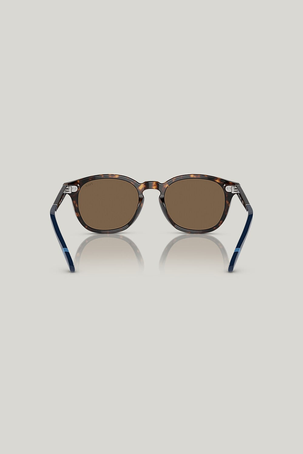 PH4206 - Tortoise - image 4