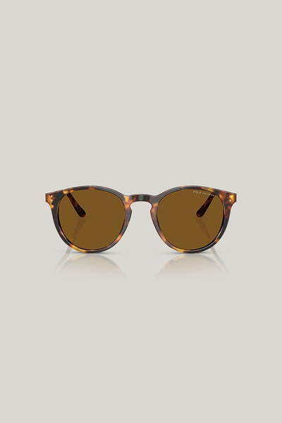 PH4110 Polarised - Tortoise - image 2