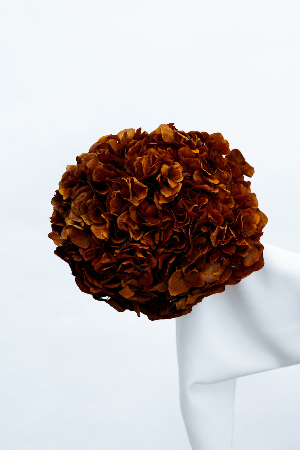Preserved Large-Leaf Hydrangea Stem - Orange - image 1