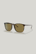 RB4387 - Tortoise - image 1