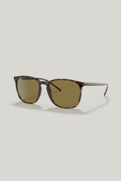RB4387 - Tortoise - image 1