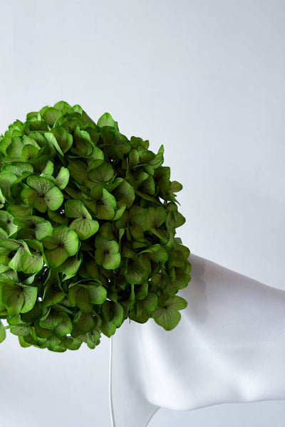 Preserved Large-Leaf Hydrangea Stem - Green - image 3