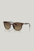 AX4168SU Polarised - Brown - image 1
