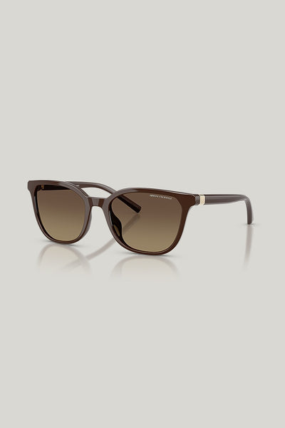 AX4168SU Polarised - Brown - image 1