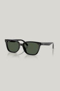 RB2243D Polarised - Black - image 1