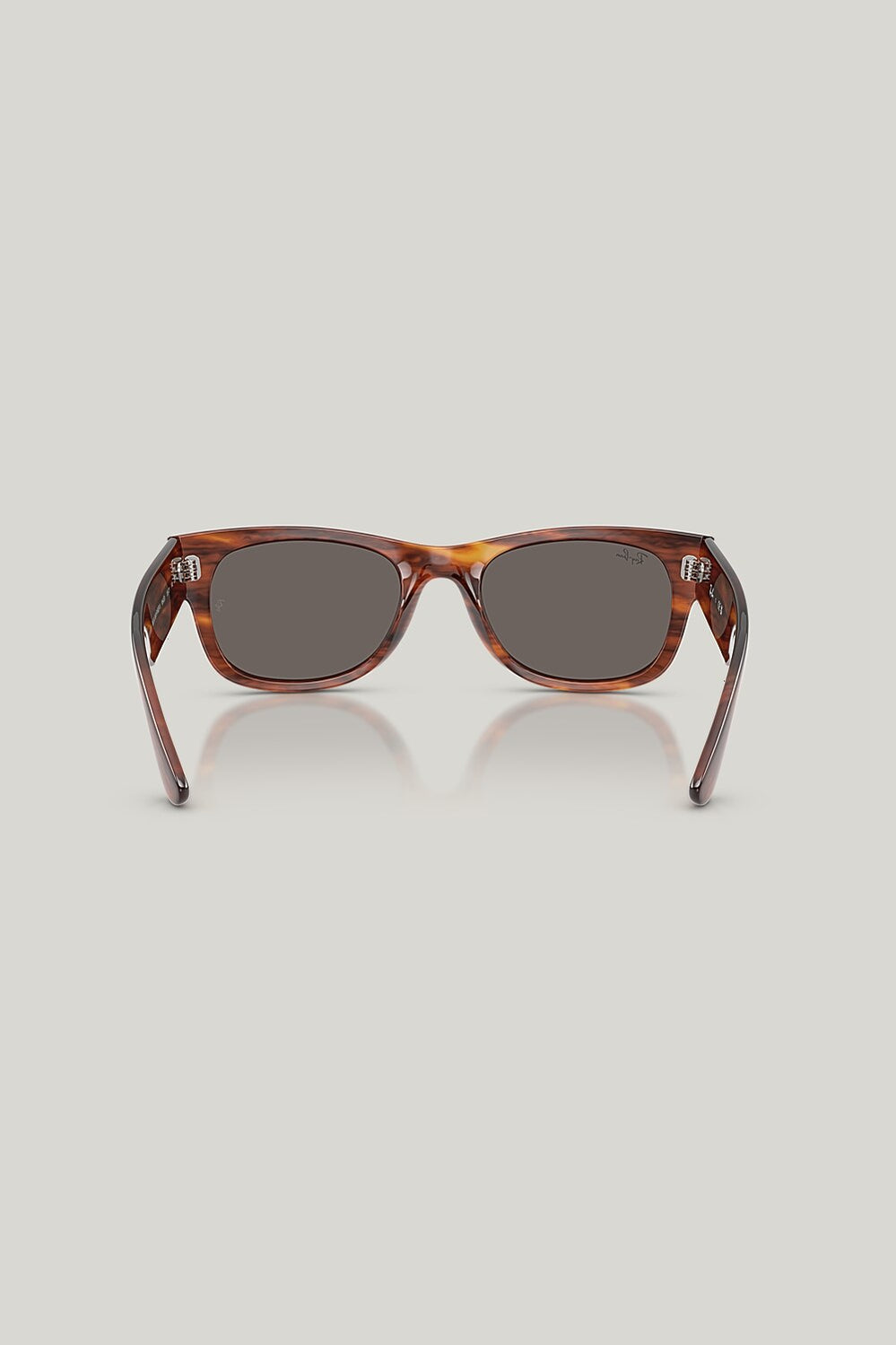 MEGA WAYFARER II - Brown - image 4