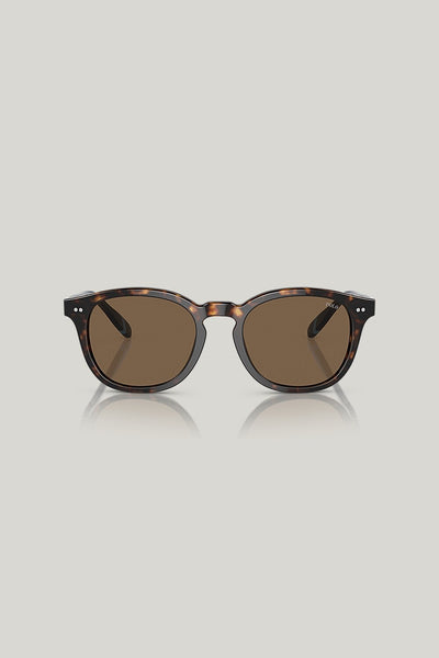 PH4206 - Tortoise - image 2