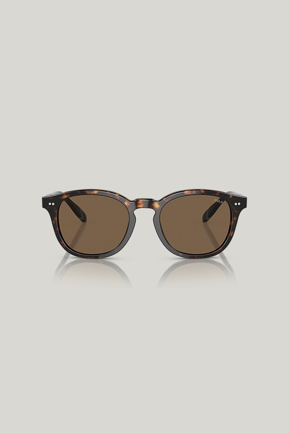 PH4206 - Tortoise - image 2