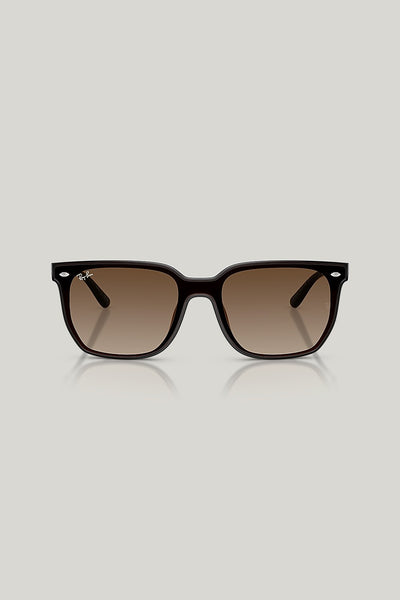 RB4466D - Brown - image 2