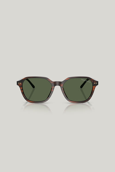 PH4234U Polarised - Tortoise - image 2