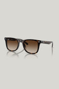 RB4420 - Tortoise - image 1