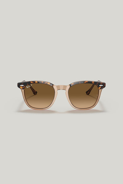 HAWKEYE Polarised - Tortoise - image 2