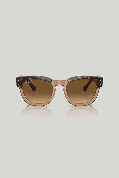 MEGA HAWKEYE Polarised - Tortoise - image 2
