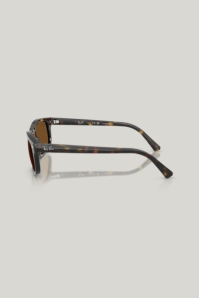RB2224 Polarised - Tortoise - image 3
