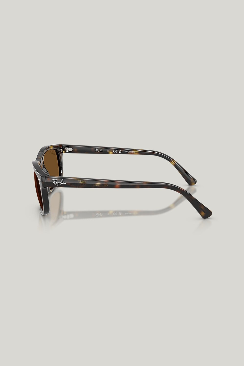 RB2224 Polarised - Tortoise - image 3