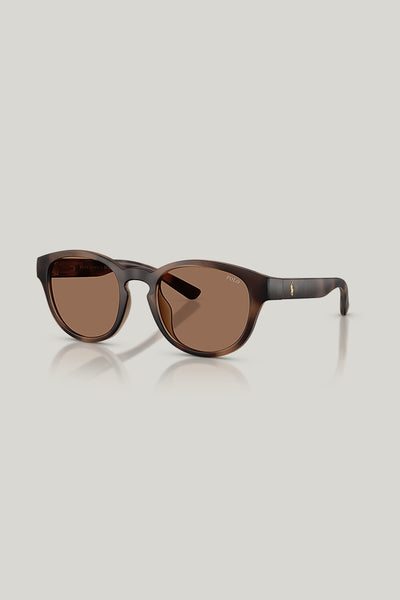 PH4233U - Tortoise - image 1