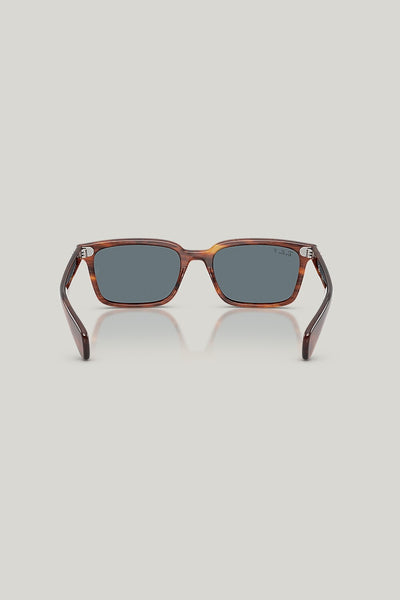BRUNEL Polarised - Brown - image 4