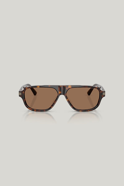 EA4285U - Tortoise - image 2