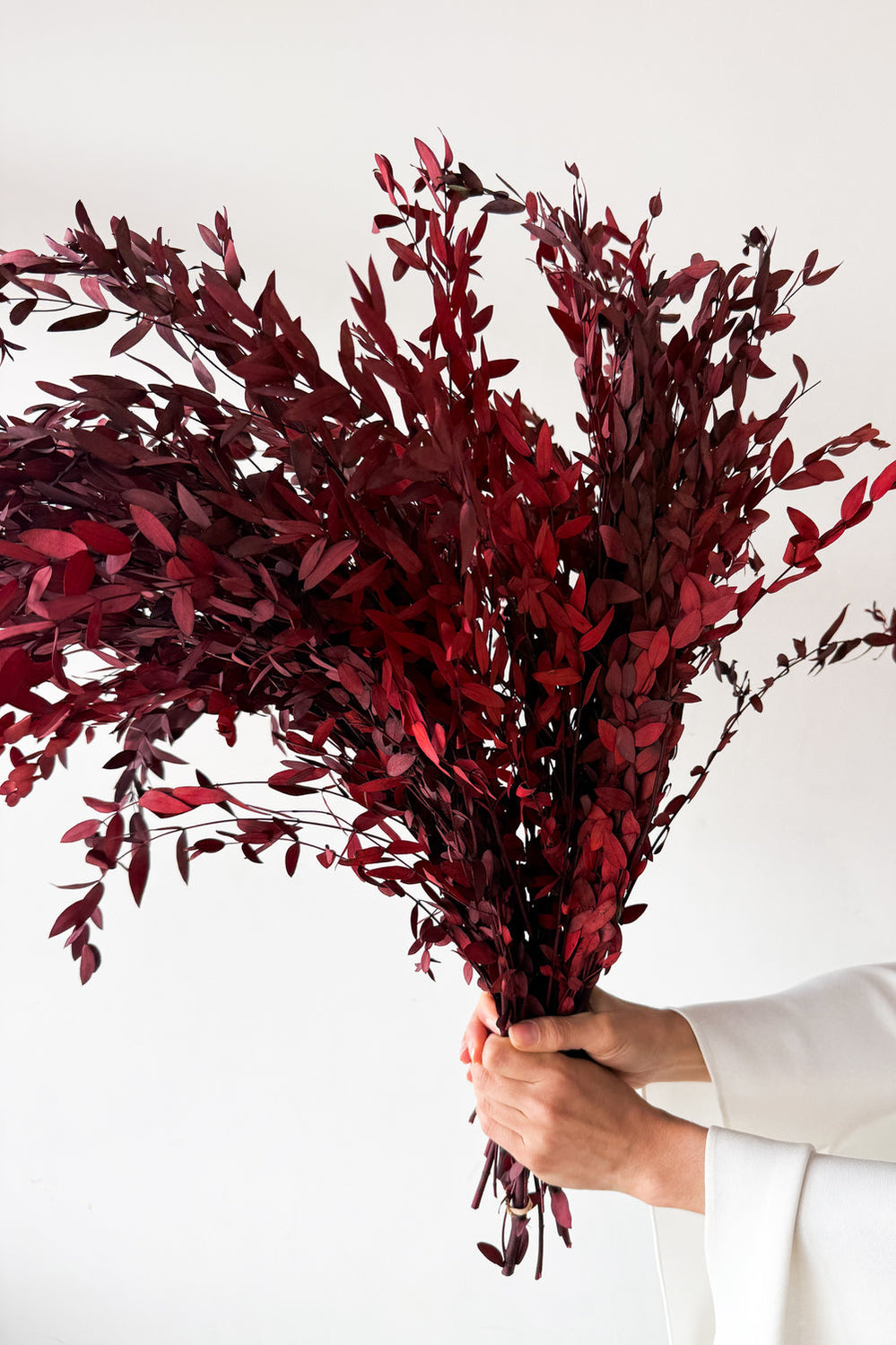 Preserved Small-leaf Gum - Maroon - image 4