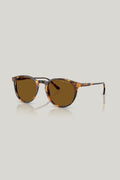 PH4110 Polarised - Tortoise - image 1