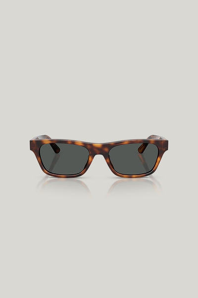 PH4238U - Brown - image 2