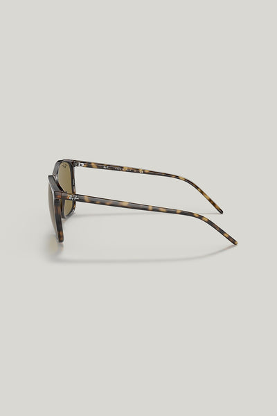 RB4387 - Tortoise - image 3