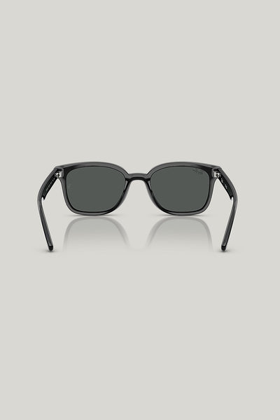 RB4461D - Black - image 4
