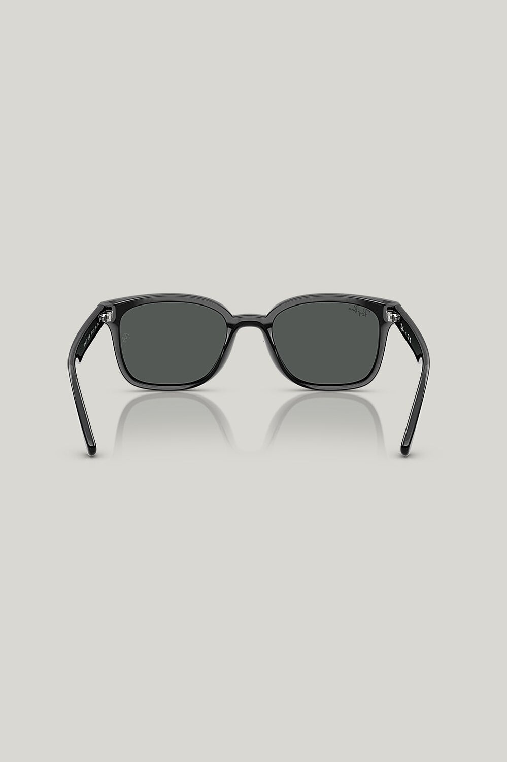 RB4461D - Black - image 4