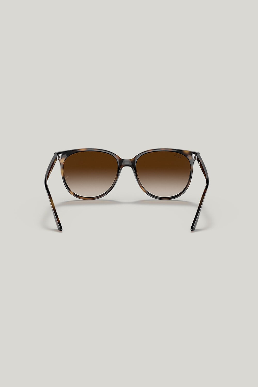 RB4378 - Tortoise - image 4