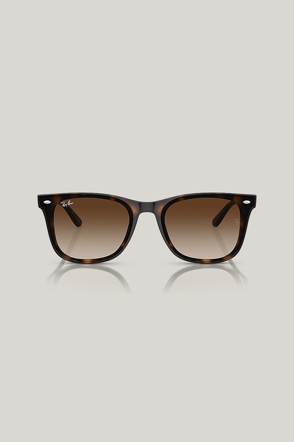 RB4420 - Tortoise - image 2