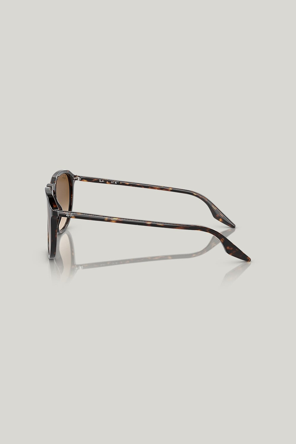 RB2203 - Tortoise - image 3