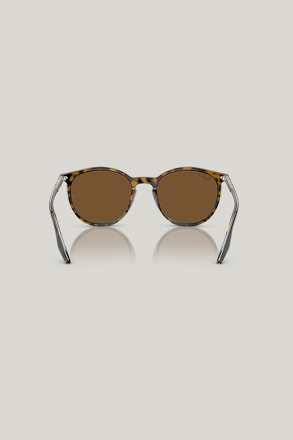 RB2204 Polarised - Brown - image 4