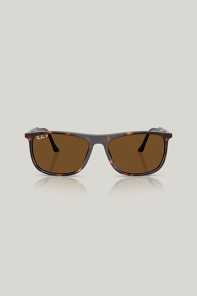 RB2216 Polarised - Tortoise - image 2