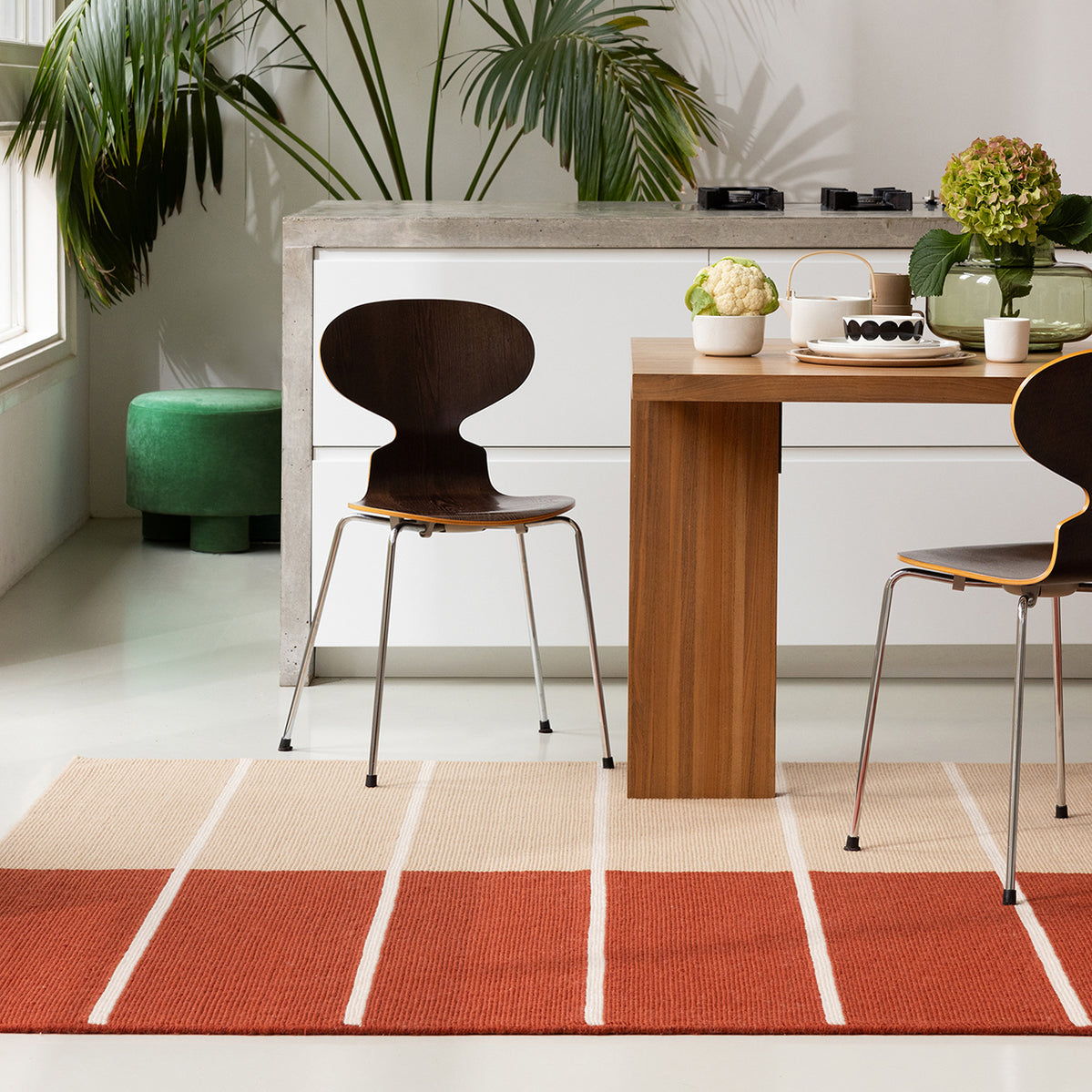 Tiibet Burnt Orange Rug 240x170cm - Burnt Rust - image 3