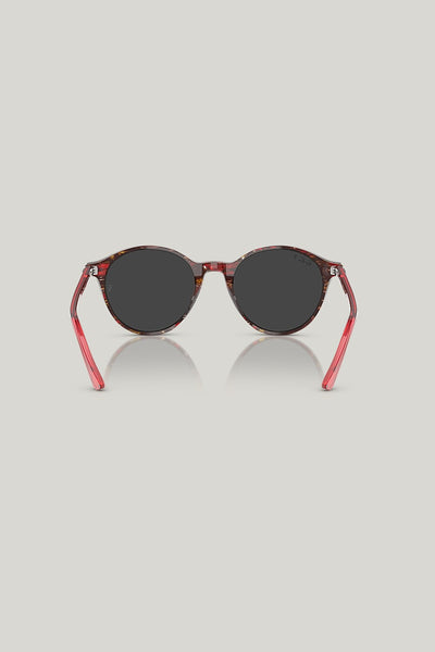 RB2230 Polarised - Multi - image 4