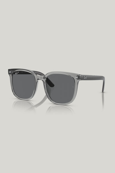 RB4401D Polarised - Grey - image 1