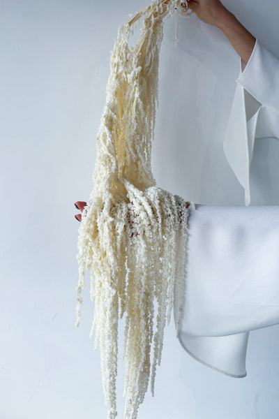 Preserved Amaranthus - Ivory - image 2